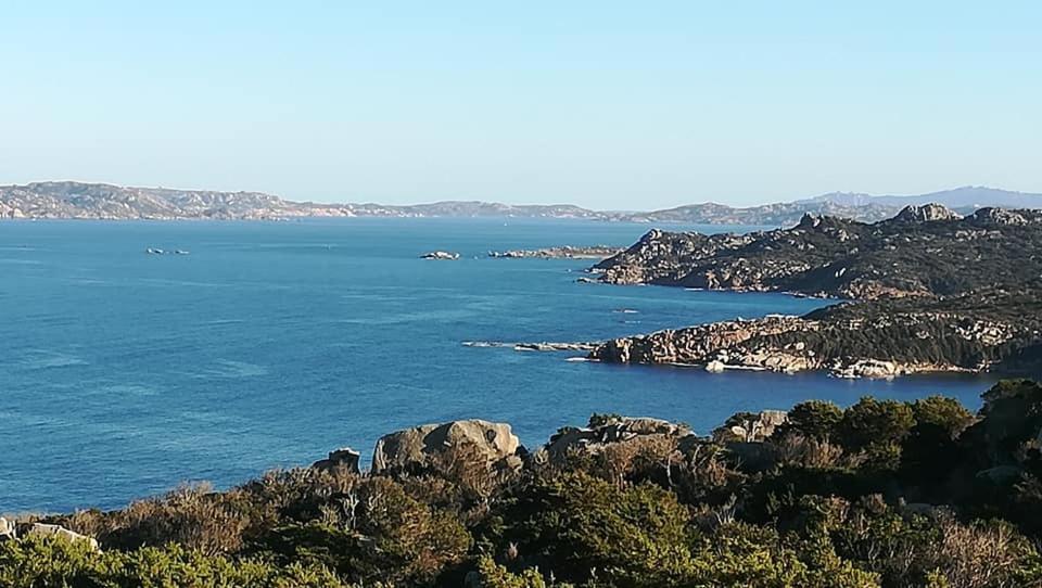 Hotel Da Patrizia Santa Teresa Gallura Exteriér fotografie